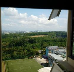 Blk 630 Senja Road (Bukit Panjang), HDB 4 Rooms #111676062